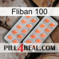 Fliban 100 27